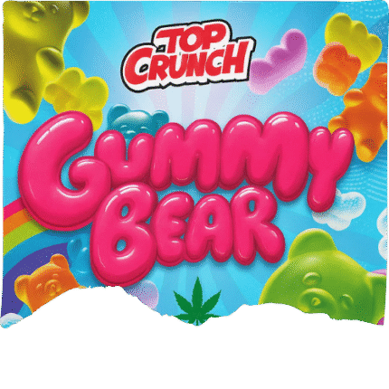 GUMMY BEARS